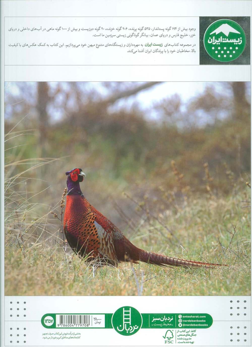 پرندگان ایران (زیست ایران 6)،(گلاسه)