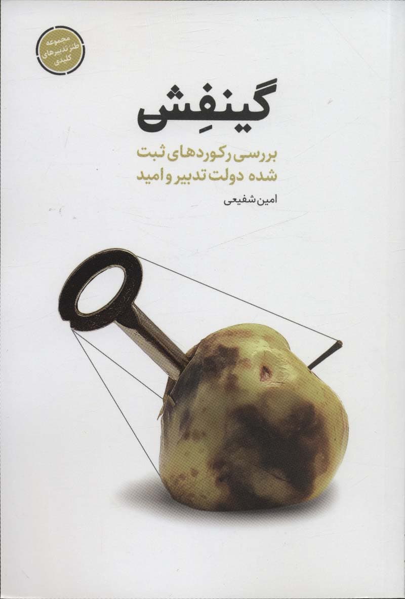 گینفش (بررسی رکوردهای ثبت شده دولت تدبیر و امید)،(طنز تدبیرهای کلیدی)