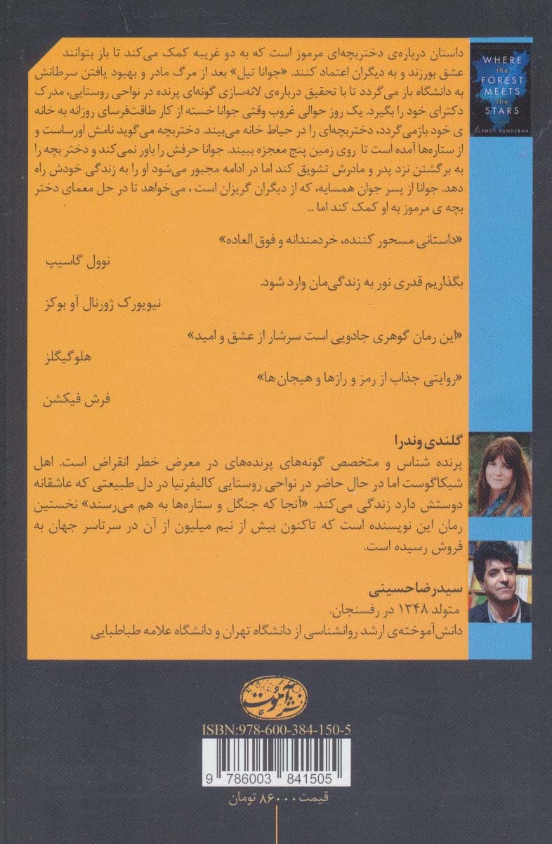 آنجا که جنگل و ستاره ها به هم می رسند