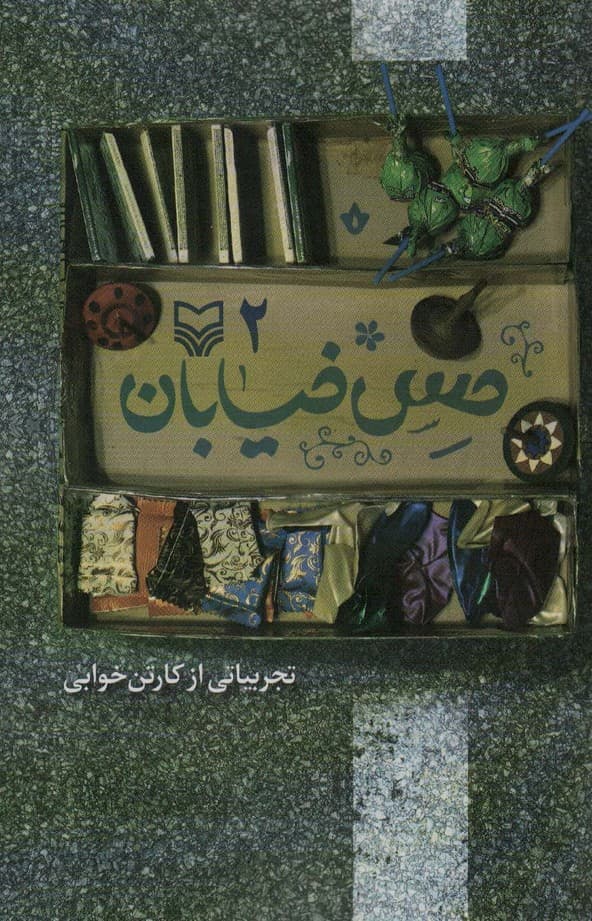 حس خیابان 2 (تجربیاتی از کارتن خوابی)