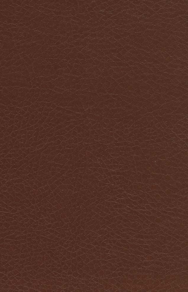 هزار خورشید تابان (چرم،لب طلایی)