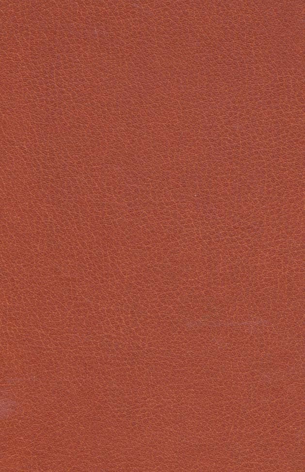 آناهیتا ایزدبانوی آب و باران (چرم،لب طلایی)