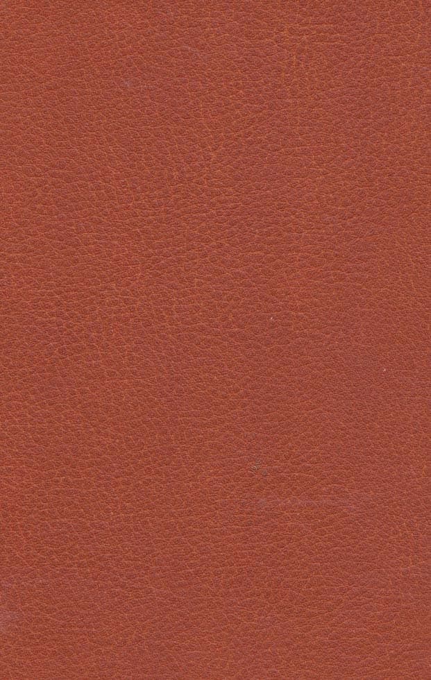 آغا محمدخان قاجار (خواجه تاجدار)،(چرم،لب طلایی)