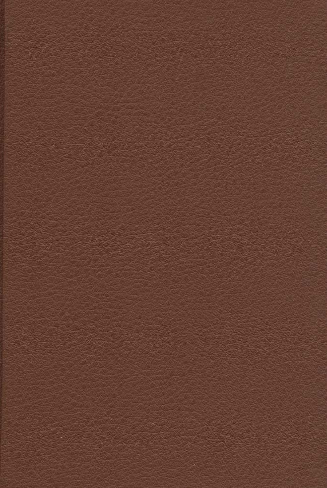 عشق در گذر زمستانی (چرم،لب طلایی)