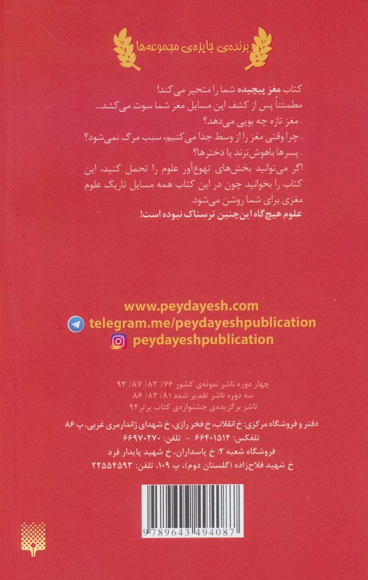 مغز پیچیده (علوم ترسناک)