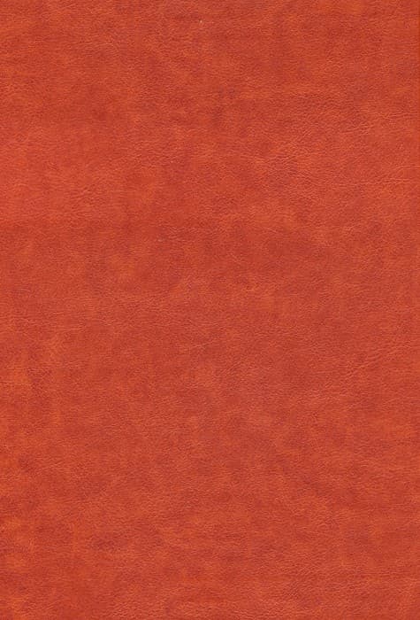 شاهنامه فردوسی (ترمو،لیزری،باقاب)