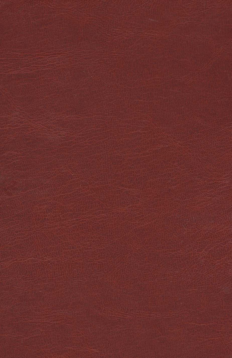 سمک عیار (6جلدی)