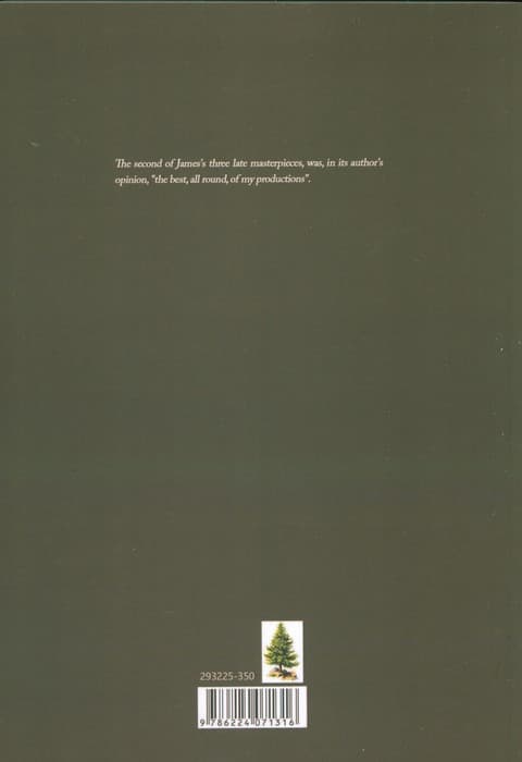 THE AMBASSADORS:سفیران (زبان اصلی،انگلیسی)