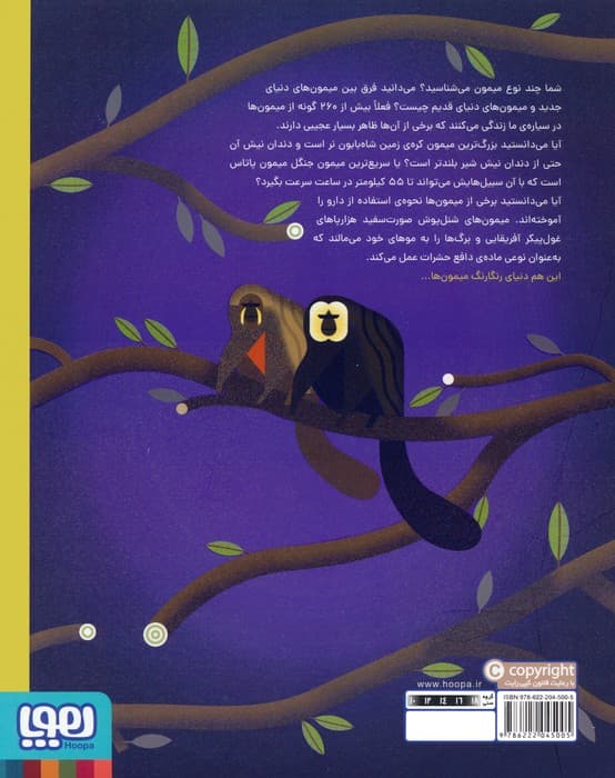 دنیای رنگارنگ میمون ها