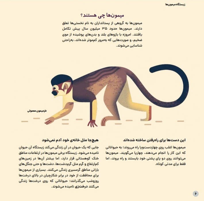 دنیای رنگارنگ میمون ها