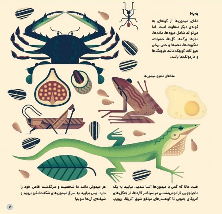 دنیای رنگارنگ میمون ها