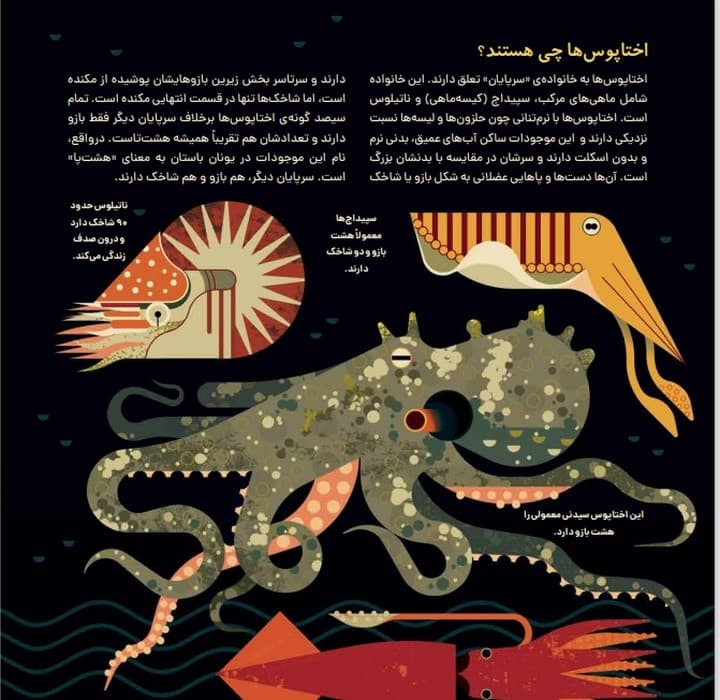 دنیای رنگارنگ اختاپوس ها