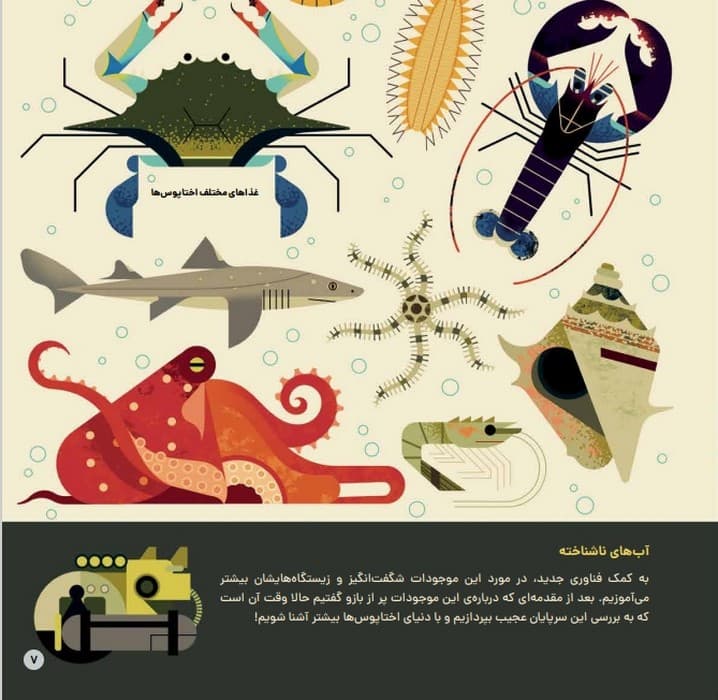 دنیای رنگارنگ اختاپوس ها