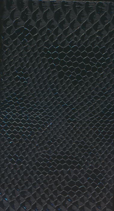 سالنامه 1404 (کد 355)،(پیتون،لب طلایی)