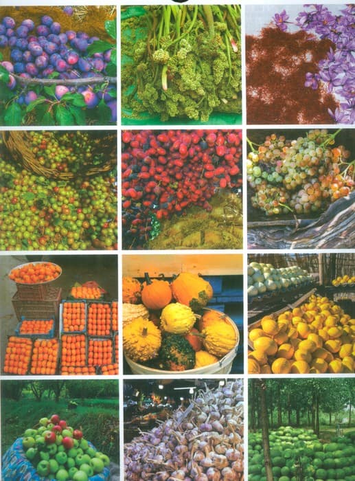 تقویم دیواری 1404 (مائده های ایرانی)،(سیمی،گلاسه)