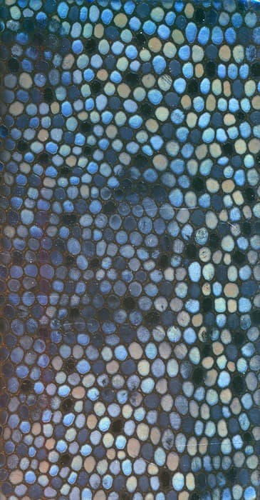 تقویم 1404 (پوست ماری،چند طرح)،(چرم)