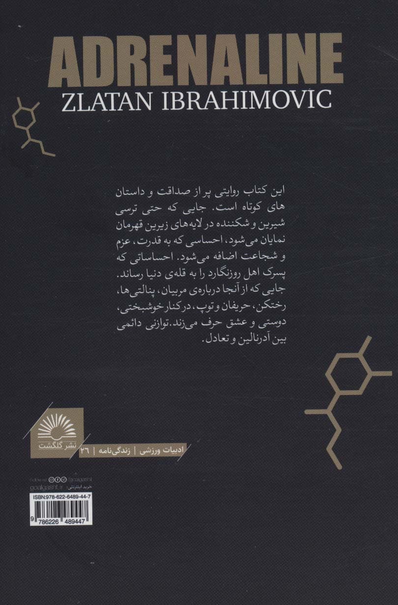 من زلاتان هستم 2:آدرنالین (داستان های ناگفته ی من)