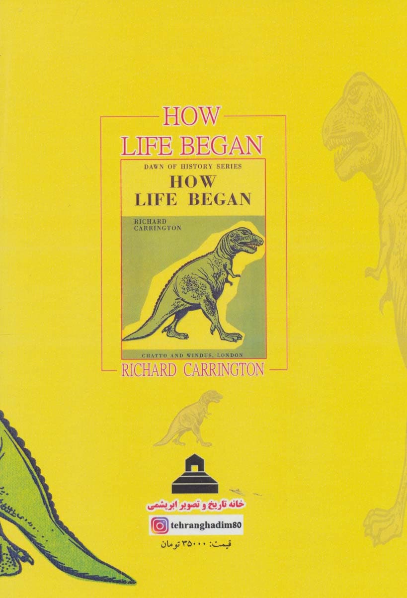 زندگی چگونه آغاز شد