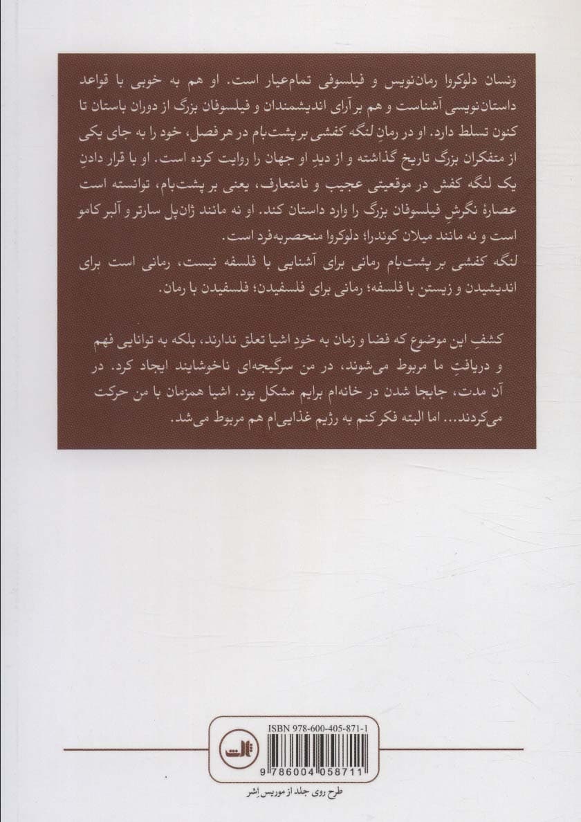 لنگه کفشی بر پشت بام