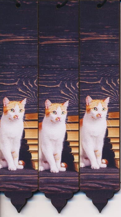 مجموعه نشانه کتاب (بوک مارک،کد N80)،(3عددی)