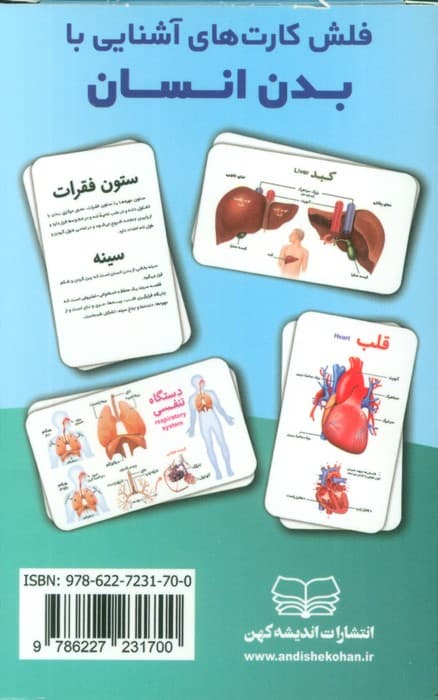 فلش کارت های آشنایی با بدن انسان (باجعبه)