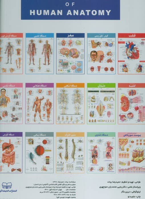 اطلس کالبد شناسی بدن انسان (گلاسه،سیمی،باجعبه)