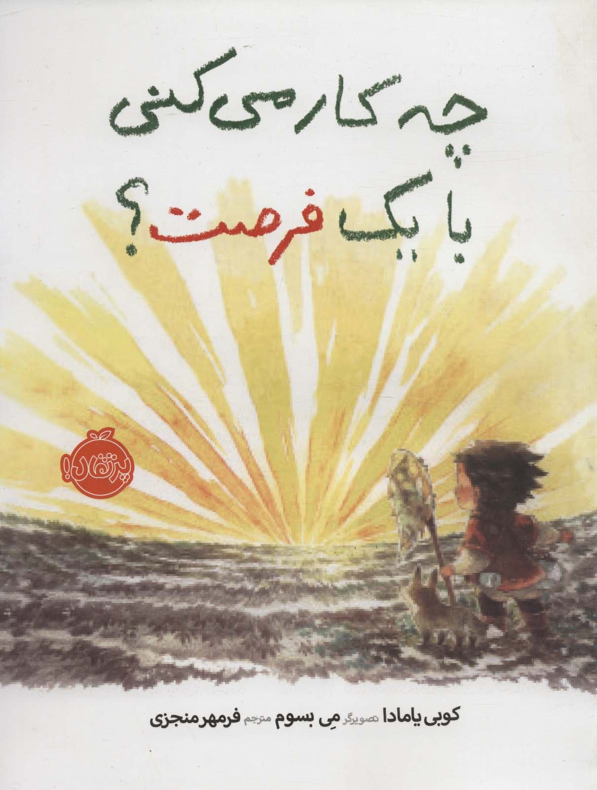 چه کار می کنی با یک فرصت؟ (گلاسه)