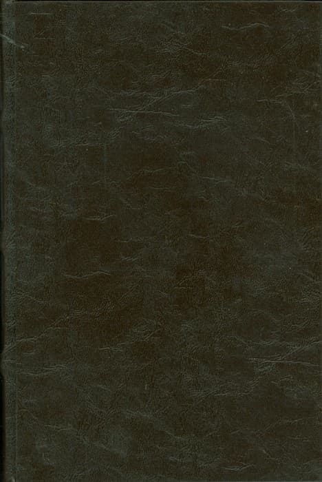 دیوان حافظ (ترمو،پلدار)