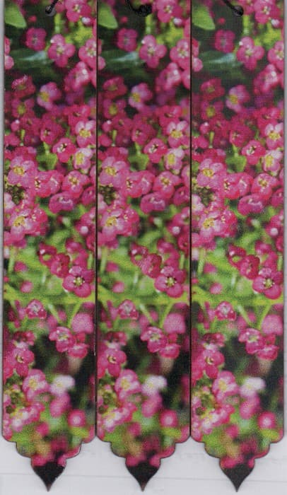 مجموعه نشانه کتاب (بوک مارک،کد N55)،(3عددی)