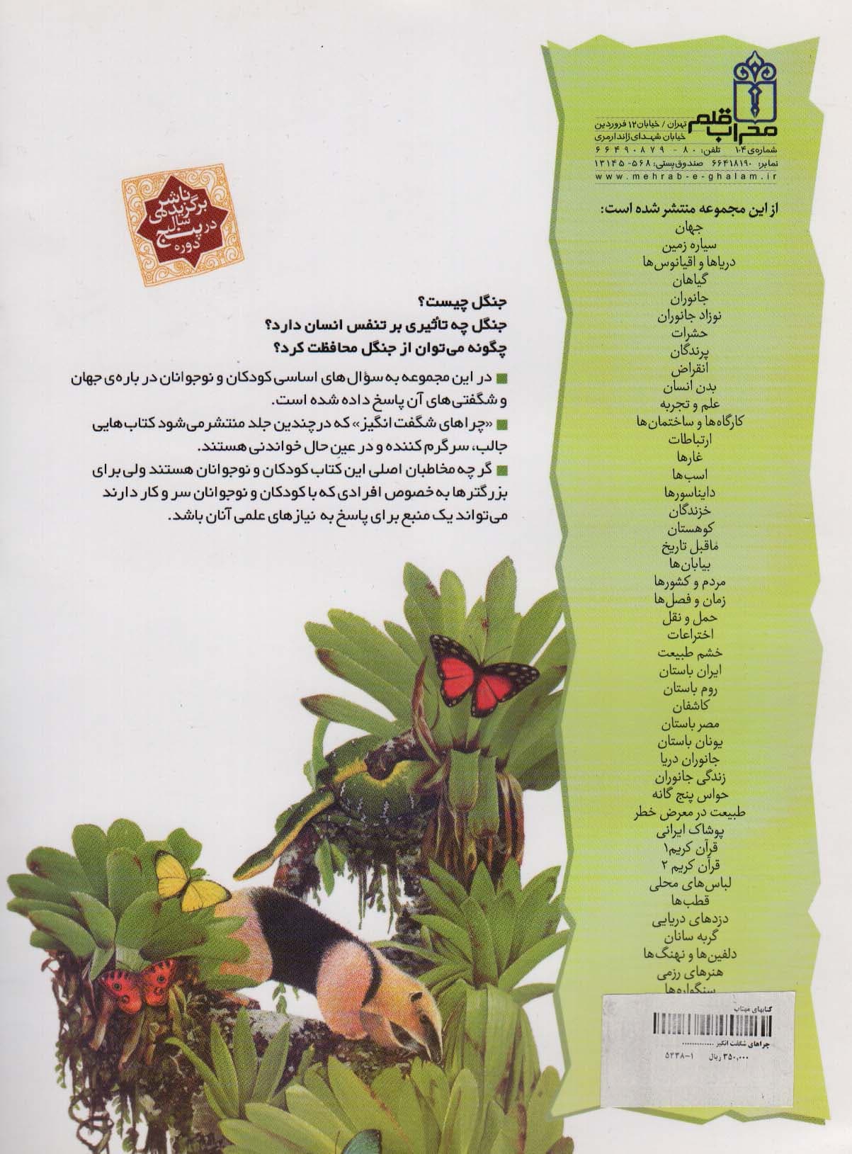 چراهای شگفت انگیز (جنگل ها)