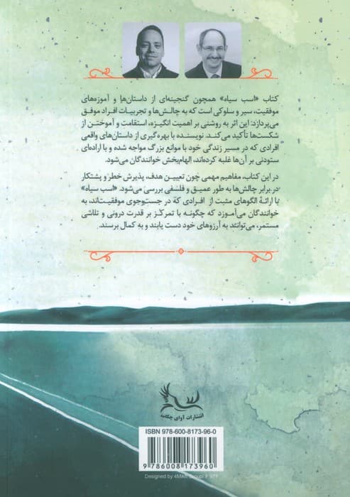 اسب سیاه (فراتر از قواعد موفقیت)