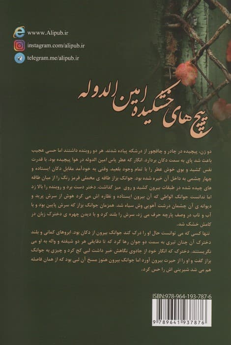 پیچ های خشکیده امین الدوله