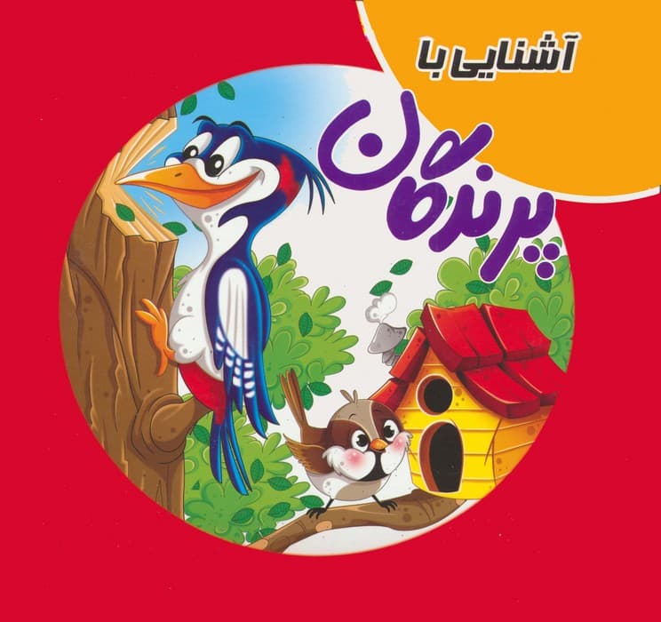 کتاب پازلی آشنایی با پرندگان (گلاسه)