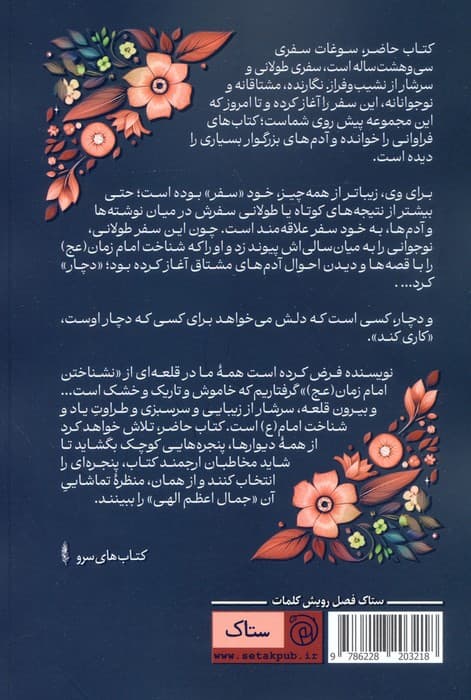 من عاشقش نبودم