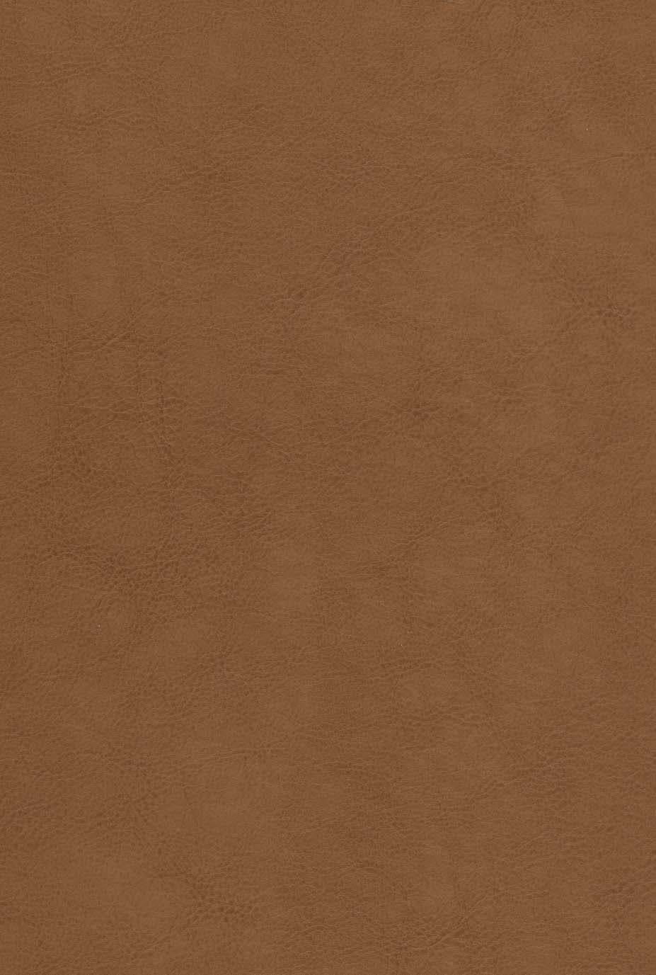 شاهنامه فردوسی (2جلدی،باقاب،چرم،لیزری)