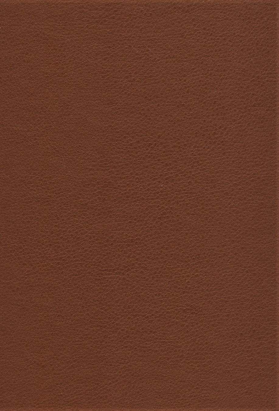 کشکول شیخ بهایی (ترمو)