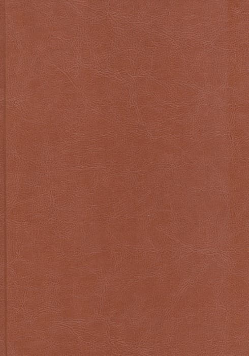 گزیده غزلیات شمس تبریزی (ترمو)