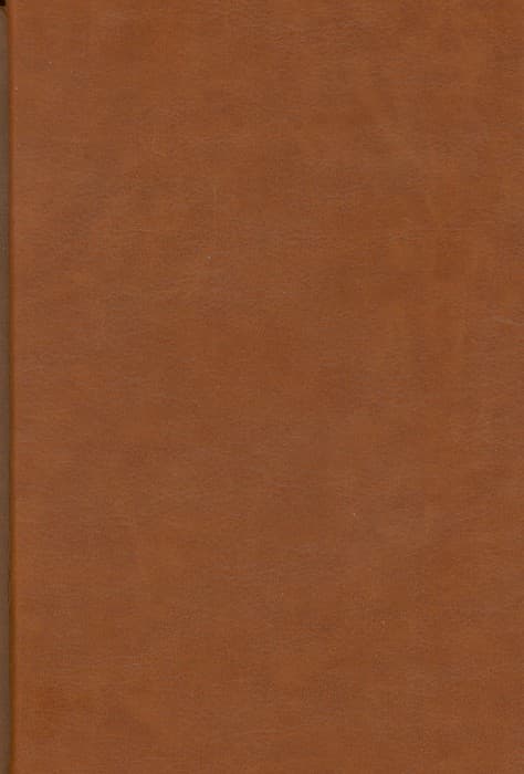 دیوان حافظ همراه با فالنامه (ترمو،باقاب)