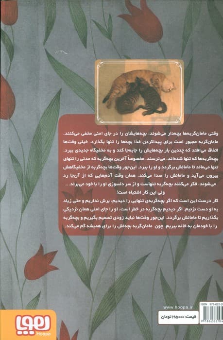 بچه گربه تنها (گلاسه)