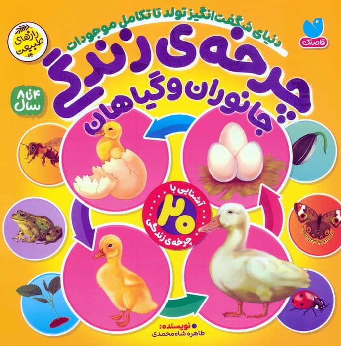 چرخه ی زندگی جانوران و گیاهان (دنیای شگفت انگیز تولد تا تکامل موجودات)