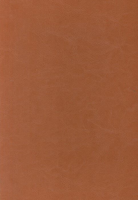 شاهنامه فردوسی (با مینیاتور)،(2جلدی،ترمو،باقاب)