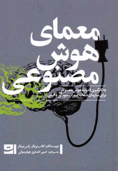 معمای هوش مصنوعی (به کارگیری قدرت هوش مصنوعی برای سازمان شما به صورت سودآور و ایمن)