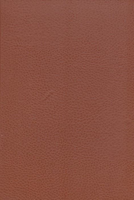 گلستان سعدی (ترمو)