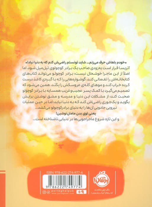 قانون خواهر برادری