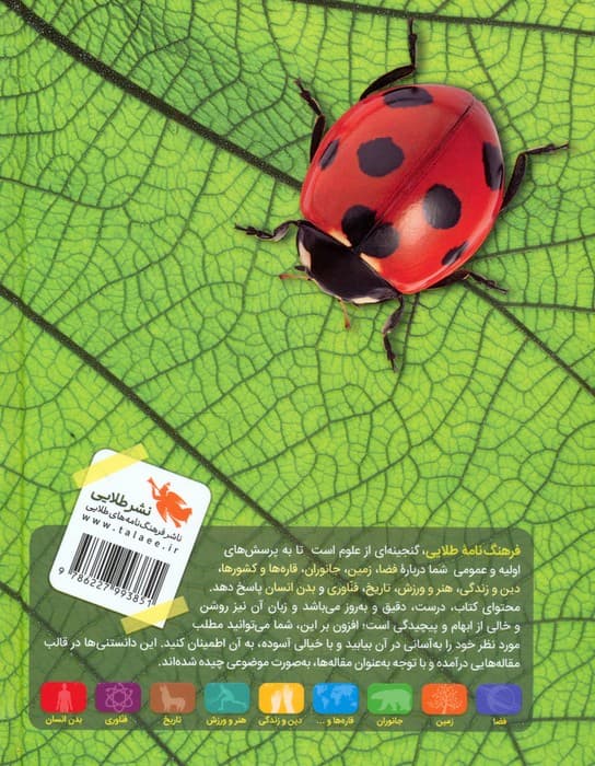 فرهنگ نامه طلایی (گلاسه)