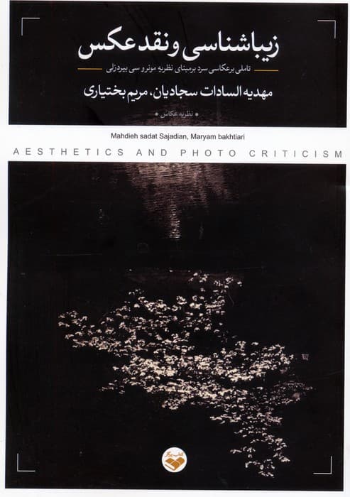 زیباشناسی و نقد عکس (تاملی بر عکاسی سرد بر مبنای نظریه مونرو سی بیردزلی)