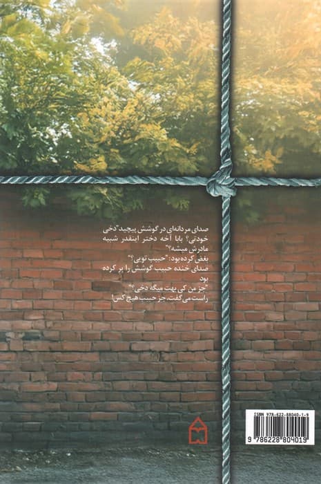 شیراز،خیابان افرا