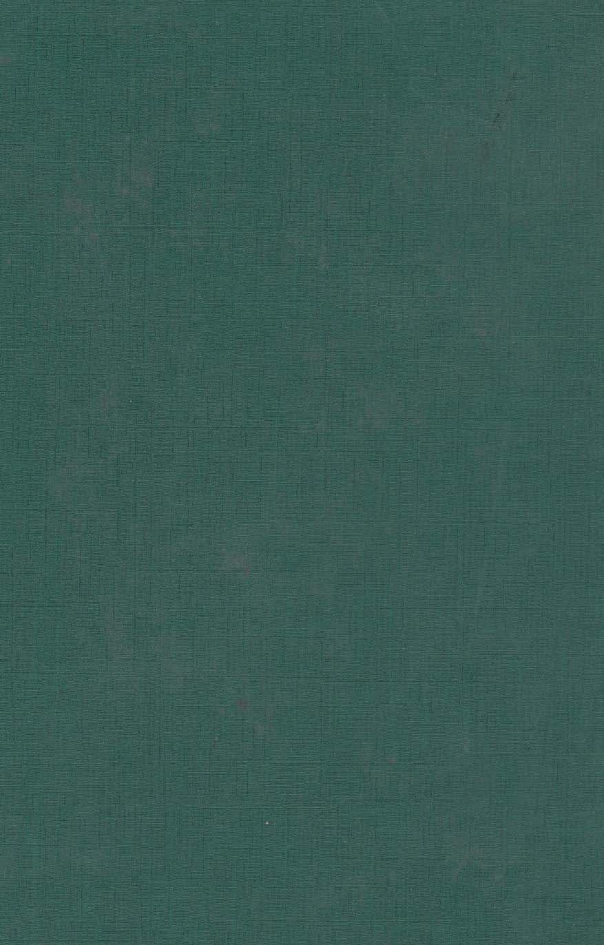 روز رهایی (در سایه سار مهدی موعود (عج))