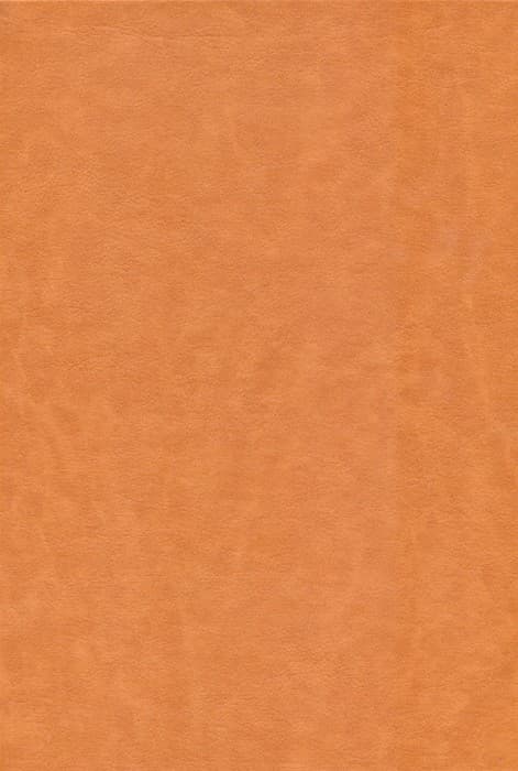 بوستان سعدی (سه لتی،گلاسه،چرم)