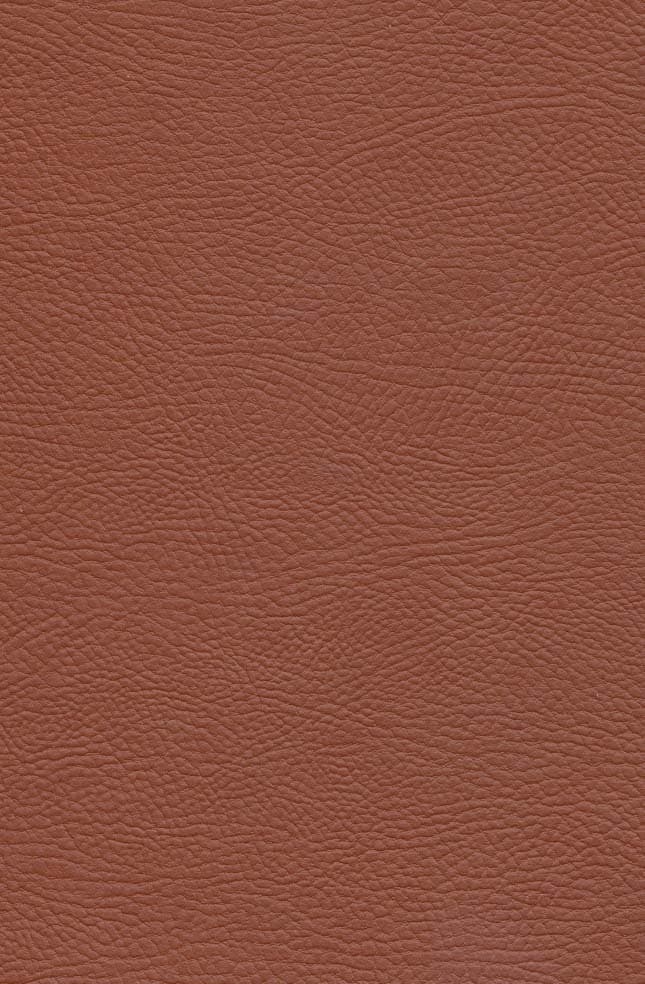 صد سال تنهایی (چرم،لب طلایی)